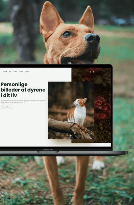 Photography website with focus on pets